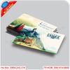 In card visit giá rẻ  tại Gia Lâm