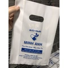 IN TÚI BÓNG NILON THEO YÊU CẦU GIÁ RẺ