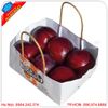 Túi giấy đựng hoa quả trái cây đẹp, độc đáo