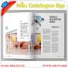 In catalogue giá rẻ tại Hai Bà Trưng