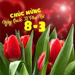 In thiệp chúc mừng 8/3 độc đáo