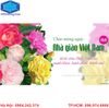 In thiệp mừng ngày 20-11 tại Cầu Giấy - Hà Nội