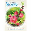 In thiệp tết độc quyền, giá rẻ Hà Nội