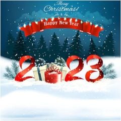 Địa chỉ bán thiệp noel 3D độc đáo