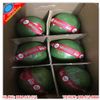 Thùng carton đựng bưởi