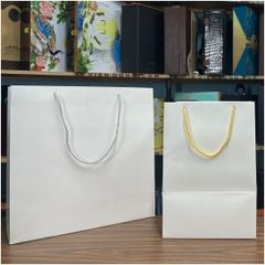 Bán túi đựng quà no.el