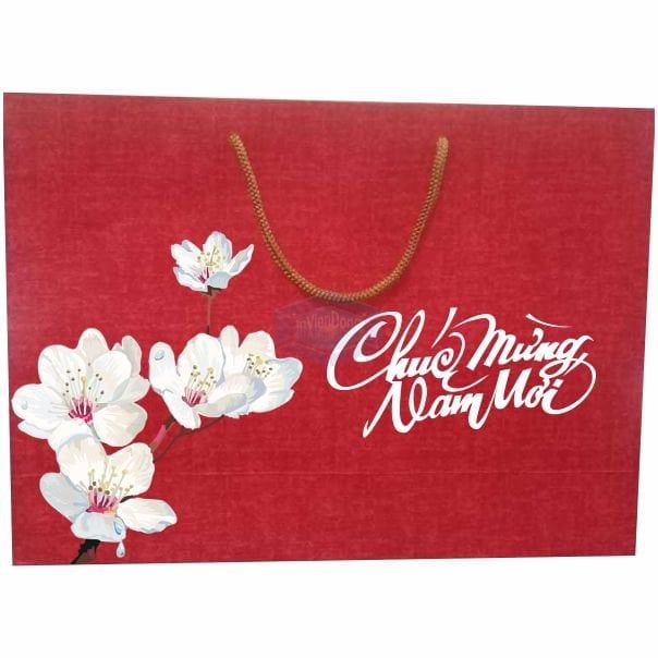 IN TÚI VẢI ĐỰNG QUÀ TẾT TẠI HÀ NỘI NHANH CHÓNG