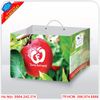 Túi giấy đựng hoa quả trái cây đẹp, độc đáo