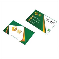 In Card Visit mỹ thuật đặc biệt