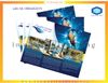 Mẫu brochure đẹp nhất