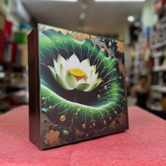 Hộp bánh trung thu cao cấp bán sẵn giá rẻ tại HCM, Hà Nội