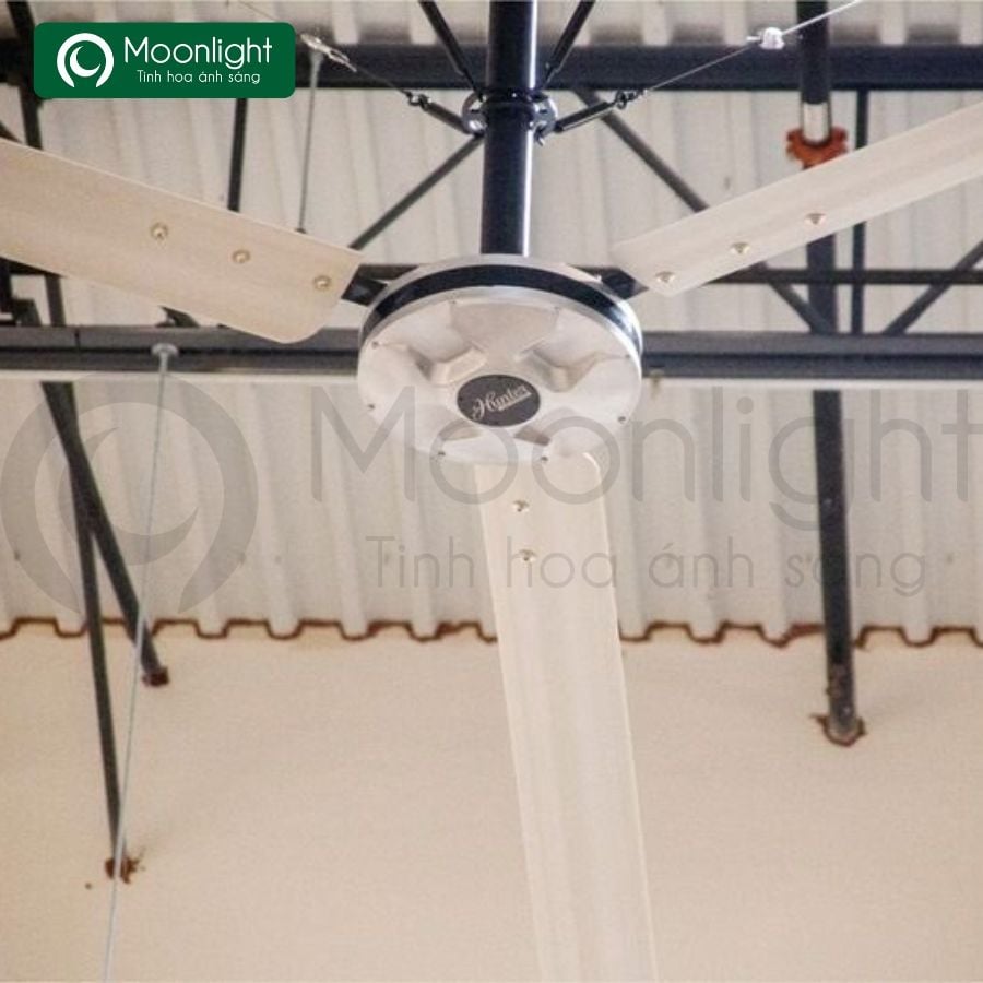 Quạt trần công nghiệp Hunter Industrial DDI 3 cánh