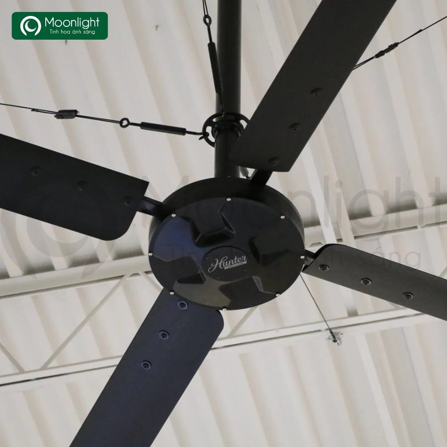 Quạt trần công nghiệp Hunter Industrial ECO 4 cánh