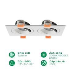 Đèn âm trần spotlight chiếu điểm đôi CES3012C