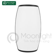 Đèn tường hiện đại tràn viền ngoài trời 18W, 3000K, KT 230*100*130, IP65 DTTV-18