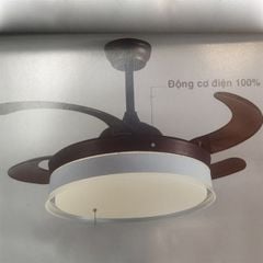 Gomani Quạt trần đèn thu cánh màu nâu 4 cánh 120cm 55W DC đèn 72W D51x120cm GMQ2-nau VLQTGO-006