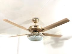 Quạt trần đèn Homesick 5 cánh 135cm 80w AC 8058 VLQTHO-028