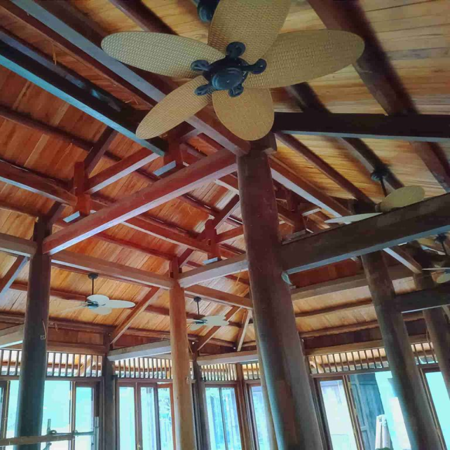 Quạt trần LucciFijian