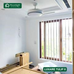 Quạt trần đèn thu cánh Đài Loan Luxaire Tulip II