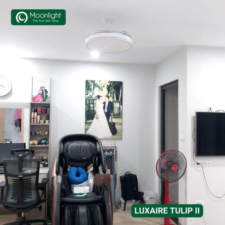 Quạt trần đèn thu cánh Đài Loan Luxaire Tulip II