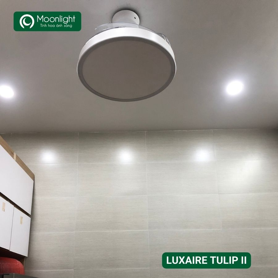 Quạt trần đèn thu cánh Đài Loan Luxaire Tulip II