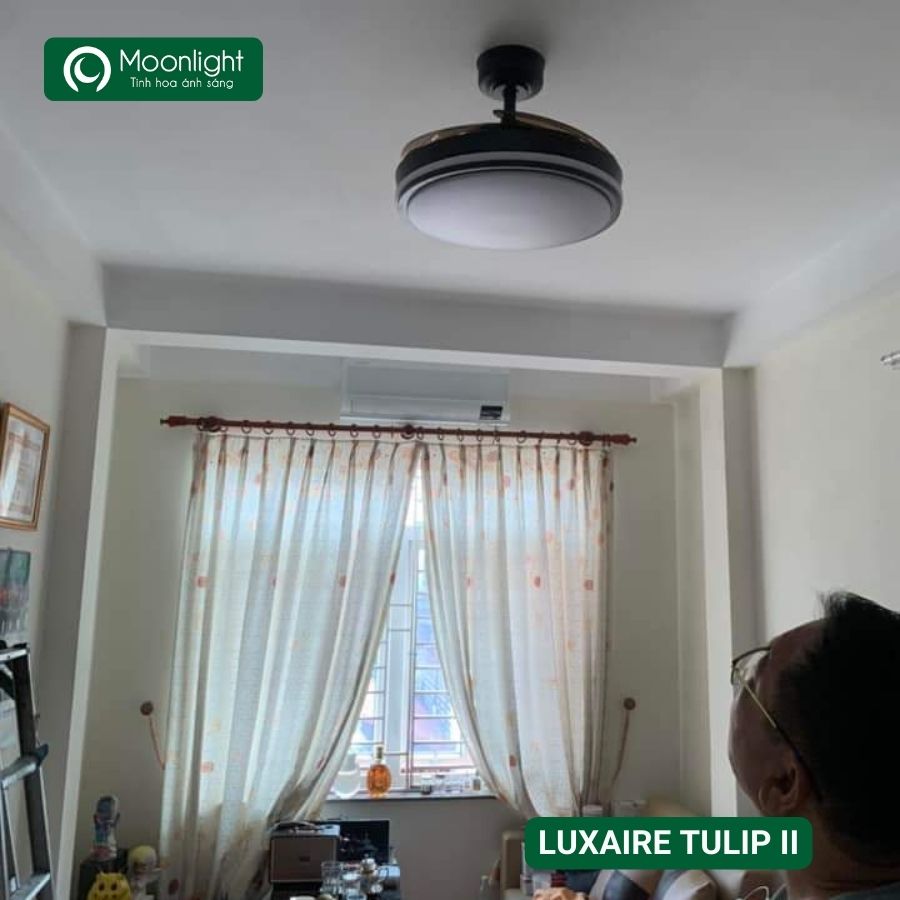 Quạt trần đèn thu cánh Đài Loan Luxaire Tulip II