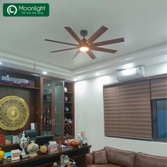Quạt trần Đài Loan Luxaire Xtreme thân màu đen 8 cánh nhựa ABS 55w DC 157cm led 3 màu 15w XTREME-BL