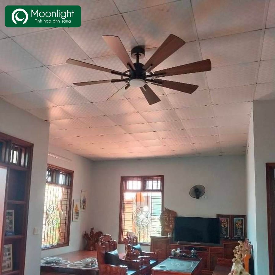 Quạt trần Đài Loan Luxaire X8 thân màu mạ kền 8 cánh gỗ plywood 55w DC 152cm led 3 màu 15w LUXAIRE X8