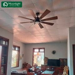 Quạt trần Đài Loan Luxaire X8 thân màu mạ kền 8 cánh gỗ plywood 55w DC 152cm led 3 màu 15w LUXAIRE X8