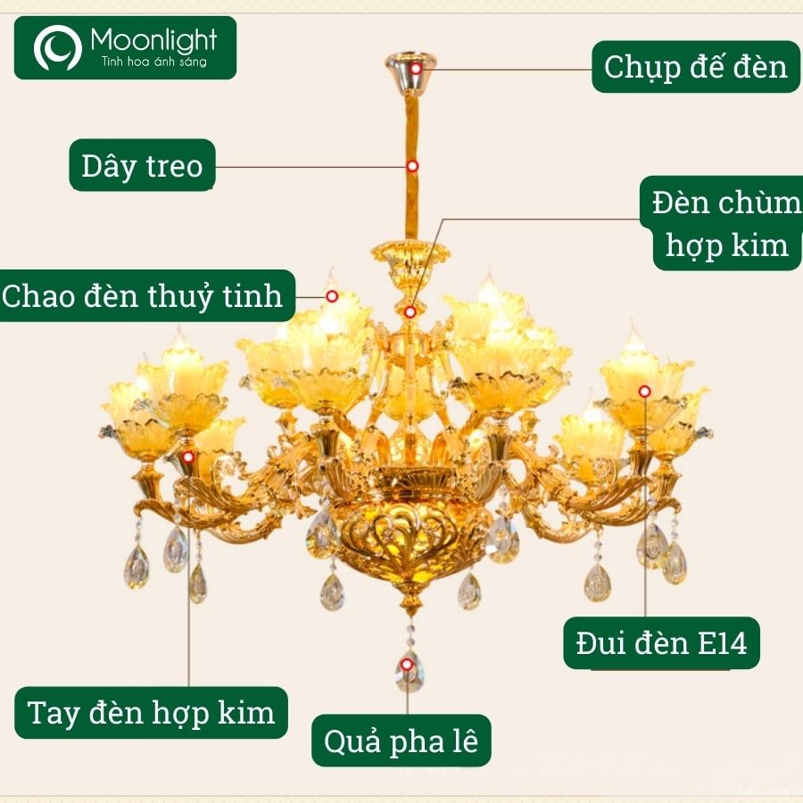 Đèn chùm hợp kim phòng khách 8 tay chao thủy tinh VLCHHK-015