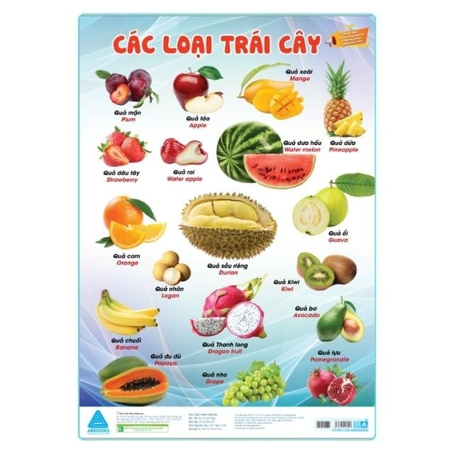 Đánh thức tiềm năng não bộ - Phương pháp giáo dục sớm: Phương tiện giao thông đường bộ