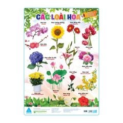 Đánh thức tiềm năng não bộ - Phương pháp giáo dục sớm: Phương tiện giao thông đường bộ