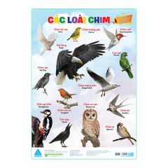 Đánh thức tiềm năng não bộ - Phương pháp giáo dục sớm: Thế giới khủng long