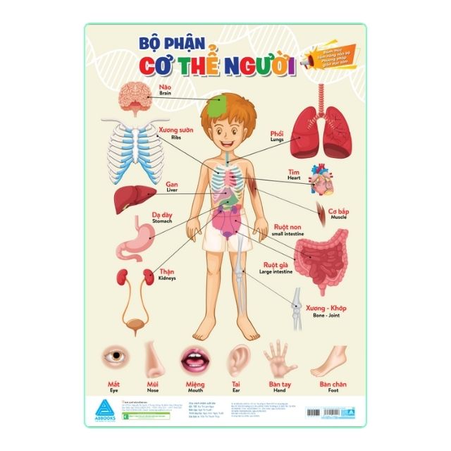 Đánh thức tiềm năng não bộ - Phương pháp giáo dục sớm: Thế giới khủng long