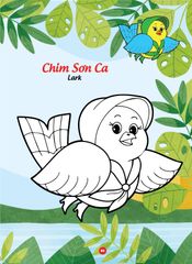 Sách - Bé tô màu và học tiếng anh theo chủ đề - Các loài chim