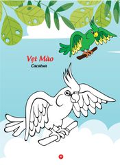 Sách - Bé tô màu và học tiếng anh theo chủ đề - Các loài chim
