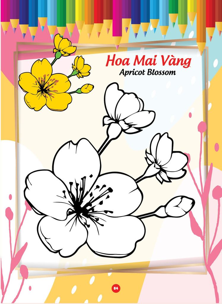 Bé tô màu và học tiếng anh theo chủ đề - Các loài hoa