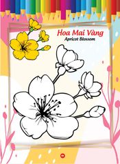Bé tô màu và học tiếng anh theo chủ đề - Các loài hoa