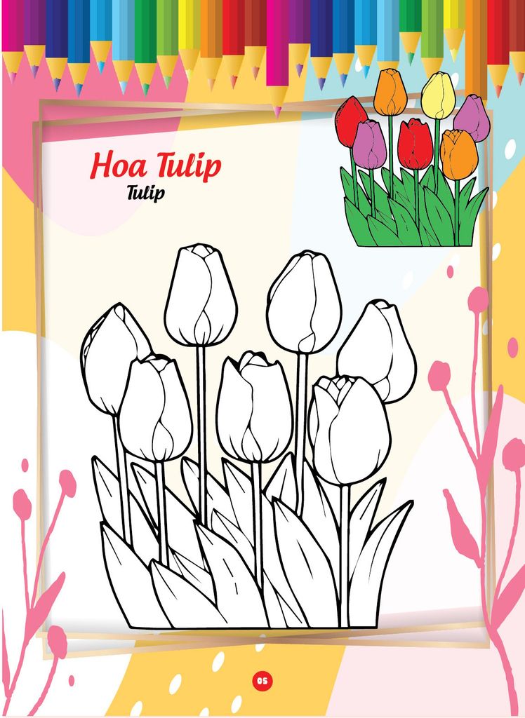 Bé tô màu và học tiếng anh theo chủ đề - Các loài hoa