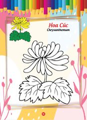 Bé tô màu và học tiếng anh theo chủ đề - Các loài hoa