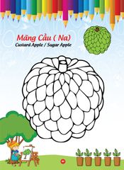 Sách - Bé tô màu và học tiếng anh theo chủ đề - Trái cây