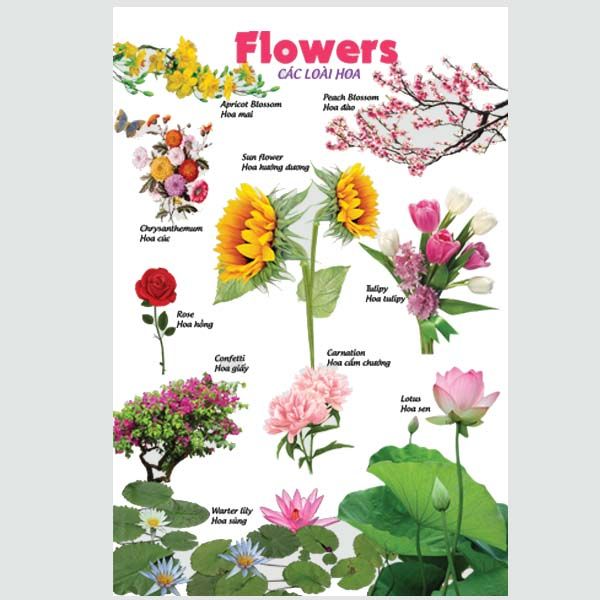 Bách Khoa Toàn Thư Cho Bé Yêu - Tranh Treo Tường