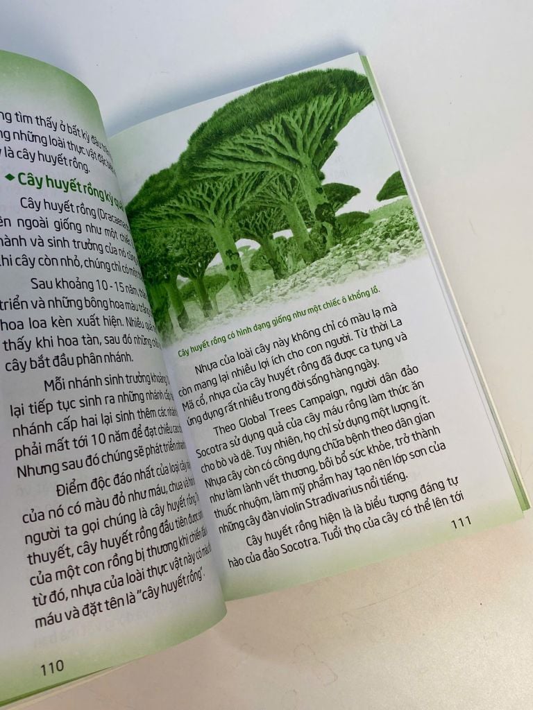 Sách - Mãi mãi là bí ẩn -  Bí ẩn về động thực vật