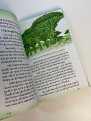 Sách - Mãi mãi là bí ẩn -  Bí ẩn về động thực vật