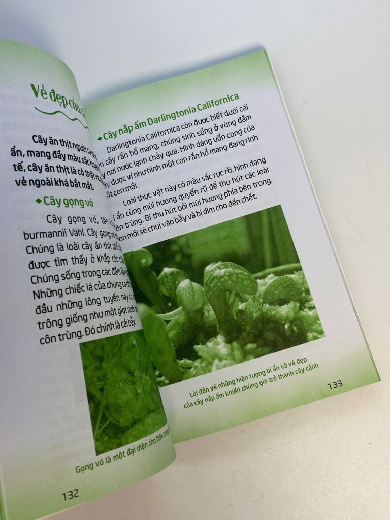 Sách - Mãi mãi là bí ẩn -  Bí ẩn về động thực vật