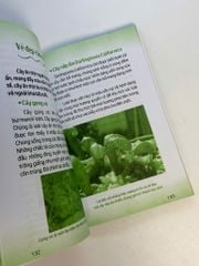 Sách - Mãi mãi là bí ẩn -  Bí ẩn về động thực vật