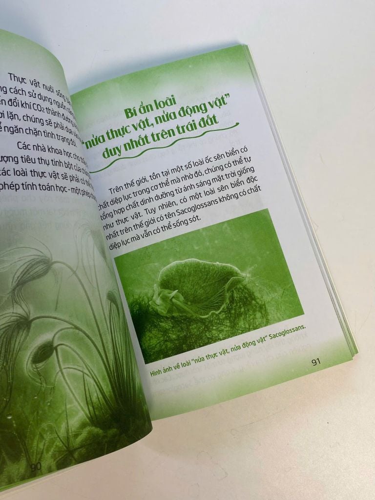 Sách - Mãi mãi là bí ẩn -  Bí ẩn về động thực vật