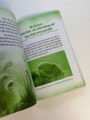 Sách - Mãi mãi là bí ẩn -  Bí ẩn về động thực vật