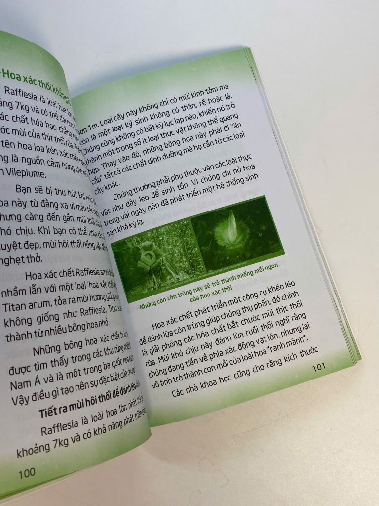 Sách - Mãi mãi là bí ẩn -  Bí ẩn về động thực vật