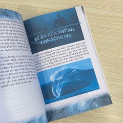 Sách - Mãi mãi là bí ẩn - Bí ẩn của sự trùng lặp